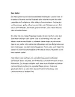 Vorschau - Arbeitsblätter - Arbeitsblatt - Der Adler - Tiere lernen - 2. - 4. Klasse - Seite 1