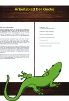 Vorschau - Arbeitsblätter - Arbeitsblatt - Der Gecko - Tiere lernen - 2. - 4. Klasse - Deckblatt