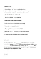 Vorschau - Arbeitsblätter - Arbeitsblatt - Der Hirschkäfer - Tiere lernen - 2. - 4. Klasse - Seite 2