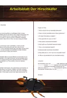 Vorschau - Arbeitsblätter - Arbeitsblatt - Der Hirschkäfer - Tiere lernen - 2. - 4. Klasse - Deckblatt