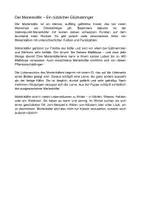 Vorschau - Arbeitsblätter - Arbeitsblatt - Der Marienkäfer - Tiere lernen - 2. - 4. Klasse - Seite 1