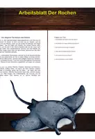 Vorschau - Arbeitsblätter - Arbeitsblatt - Der Rochen - Tiere lernen - 2. - 4. Klasse - Deckblatt