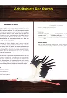 Vorschau - Arbeitsblätter - Arbeitsblatt - Der Storch - Tiere lernen - 2. - 4. Klasse - Deckblatt