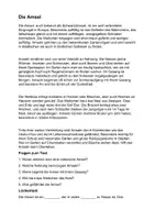 Vorschau - Arbeitsblätter - Arbeitsblatt - Die Amsel - Tiere lernen - 2. - 4. Klasse - Seite 1