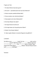Vorschau - Arbeitsblätter - Arbeitsblatt - Die Mücke - Tiere lernen - 2. - 4. Klasse - Seite 2