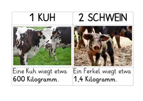 Vorschau - Arbeitsblätter - Bauernhof OL - 8 Karten und Antwortblatt - Seite 3