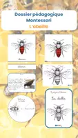 Aperçu - Jeux - DOSSIER PEDAGOGIQUE MONTESSORI ABEILLE - Page de couverture