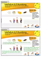 Vorschau - Stundenentwürfe - Kennzeichen des Lebendigen. Kartei mit Arbeitsblatt und Tandembogen - Seite 1