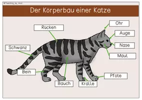 Vorschau - Arbeitsblätter - Übersichtsblätter/Arbeitsblätter - Katze - Seite 1