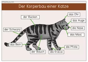 Vorschau - Arbeitsblätter - Übersichtsblätter/Arbeitsblätter - Katze - Seite 2