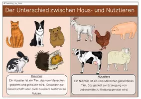 Vorschau - Arbeitsblätter - XXL- Materialpaket - Haustiere - Seite 2
