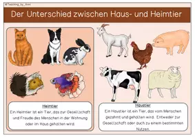Vorschau - Arbeitsblätter - XXL- Materialpaket - Haustiere - Seite 3