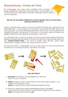 Vorschau - Arbeitsblätter - Enzymwirkung Gruppenpuzzle - Biomino - Seite 3