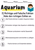 Vorschau - Mal- und Bastelvorlagen - Aquarium - Leseverstehen und Wortschatz - DaZ/DaF, Deutsch, Sachunterricht - Seite 3
