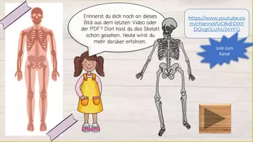 Vorschau - Präsentationen/Tafelbilder - Mein Körper - Skelett - interaktiv - Seite 2