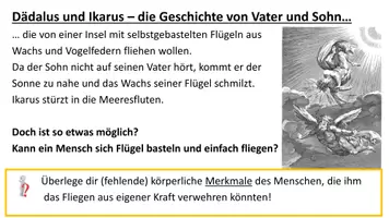 Vorschau - Stundenentwürfe - Angepasstheiten an das Fliegen_Vogelflug_6. Klasse_ NuT - Seite 1