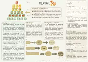 Vorschau - Merkblätter - Übersicht Kohlenhydrate - Deckblatt
