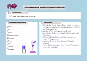 Vorschau - Arbeitsblätter - Experiment: Herstellung und Untersuchungen mit Rotkohlindikator - Seite 1