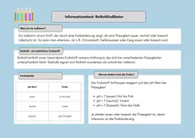 Vorschau - Arbeitsblätter - Experiment: Herstellung und Untersuchungen mit Rotkohlindikator - Seite 3
