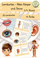 Vorschau - Bildkarten - Lernkarten - Mein Körper und Sinne (3./4. Klasse) - Deckblatt