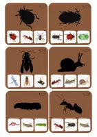 Vorschau - Spiele - Spiele Set: Wiesentiere Symmetriepuzzle + Klammerkarten - Seite 1