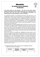 Vorschau - Arbeitsblätter - Sport: Trainingslehre - Muskeln (Aufbau unserer Muskeln) - Seite 1