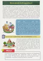 Vorschau - Stundenentwürfe - Nährstoffe Materialpaket - Seite 2
