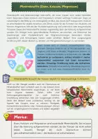 Vorschau - Arbeitsblätter - Mineralstoffe: Eisen, Kalzium und Magnesium - Seite 1