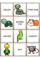 Vorschau - Spiele - Pets - Matching Pairs - Seite 3