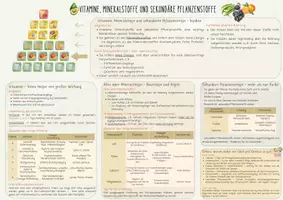 Vorschau - Merkblätter - Übersicht Vitamine, Mineralstoffe und Sekundäre Pflanzenstoffe - Deckblatt