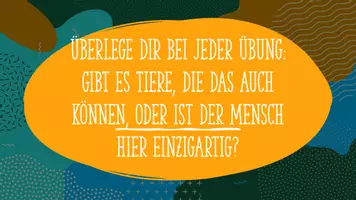 Vorschau - Spiele - Bewegungsspiel - Seite 2