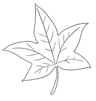 Προεπισκόπηση - Clipart / Γραφήματα - Φθινοπωρινά cliparts (δάσος-φθινόπωρο) - Σελίδα 3