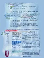 Vorschau - Arbeitsblätter - Biologie und Chemie der Zwiebeln - Materialpaket - Seite 2