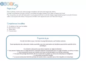 Aperçu - Apprentissages en autonomie - LE JEU DES OMBRES - sur les abeilles - Page 2