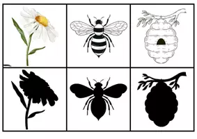 Aperçu - Apprentissages en autonomie - LE JEU DES OMBRES - sur les abeilles - Page 3