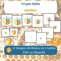 Aperçu - Apprentissages en autonomie - Le jeu de tri par taille des abeilles - Page de couverture