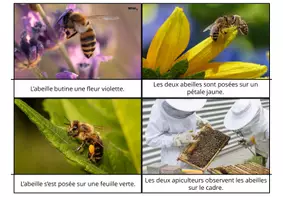 Aperçu - Apprentissages en autonomie - Le jeu de lecture sur les abeilles - Page 3