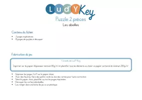 Aperçu - Apprentissages en autonomie - Les puzzles 2 pièces carré - abeilles - Page 1