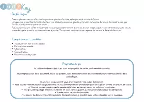 Aperçu - Apprentissages en autonomie - Les puzzles 2 pièces carré - abeilles - Page 2