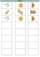 Aperçu - Jeux - Les algorithmes sur les abeilles - Page 3