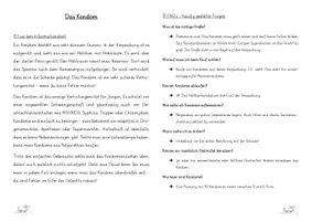 Vorschau - Arbeitsblätter - Kondomführerschein - Seite 1