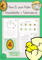 Vorschau - Arbeitsblätter - Vom Ei zum Küken Huhn - Deckblatt