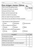 Vorschau - Arbeitsblätter - Lesen & Verstehen - Meine Zähne - Leseförderug für Leseanfänger (Klasse 1-2) - Seite 3