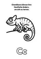 Vorschau - Mal- und Bastelvorlagen - Male & Lerne: Spielerisch das ABC mit Tieren lernen (Malbuch Kita) - Seite 3