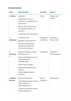 Vorschau - Stundenentwürfe - Unterrichtssequenz: Die Bedeutung von Peers in der Entwicklung Gleichaltrige, Jugendkulturen & Peer-Beziehungen, Lernfeld 3: Die Lebenswelten von Kindern, Jugendlichen und jungen Erwachsenen analysieren, strukturieren und mitgestalten - Seite 2