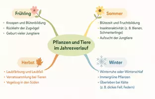 Vorschau - Arbeitsblätter - Arbeitsblatt "Pflanzen und Tiere im Jahresverlauf" + interaktive Lösung & MP3 + Mindmap - Seite 1