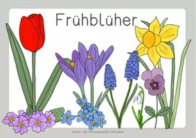 Vorschau - Mal- und Bastelvorlagen - Frühblüher - Tafelmaterial & Kärtchen - handgezeichnet in Farbe & SW - Seite 2