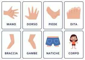 anteprima - Esercizi - FLASHCARDS NOMI /AZIONI/NUMERI PLASTIFICABILI - Pagina 3