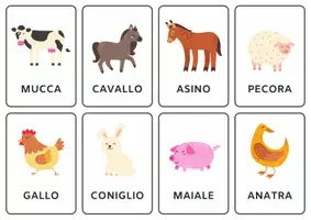 anteprima - Esercizi - Le parti del corpo card plastificabili - Pagina 3
