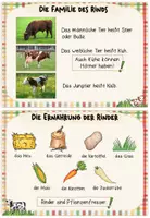 Vorschau - Merkblätter - Bauernhoftiere: Karteikarten "Das Rind" (Kl.1/2) - Seite 3